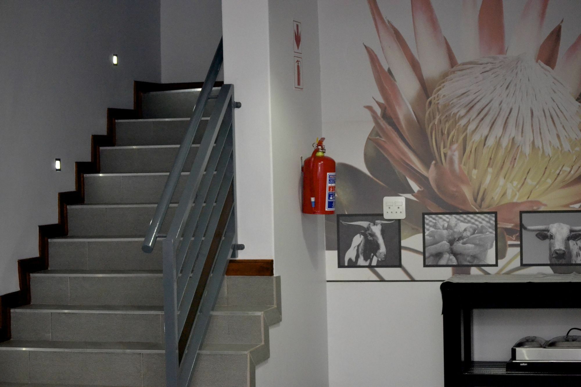 Yalla Yalla Boutique Hotel Witbank Extérieur photo